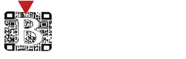 badgiTn logo